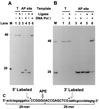 FIG. 8