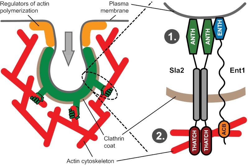 Fig. P1.