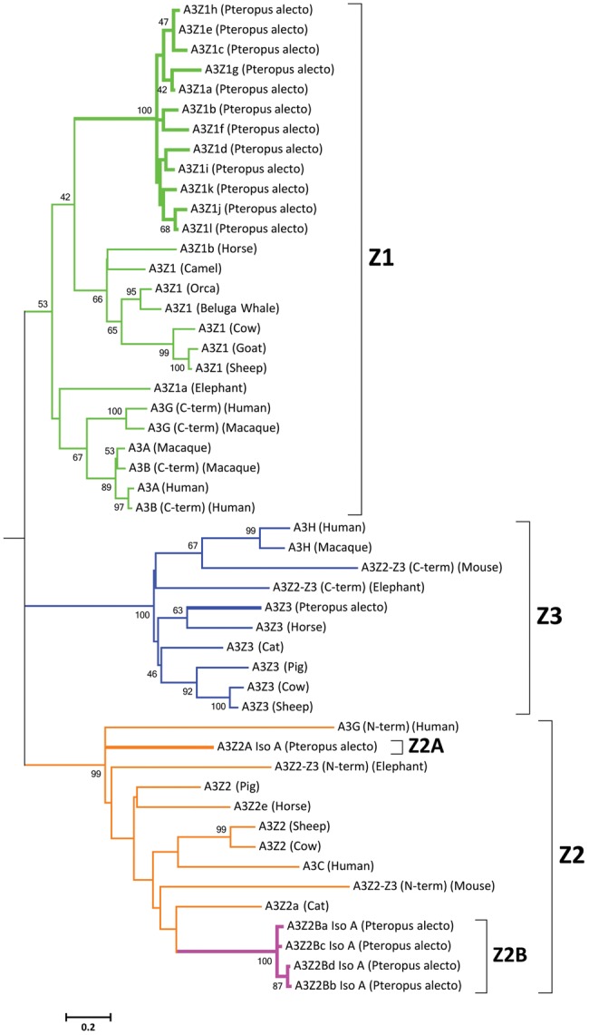 Fig. 2.