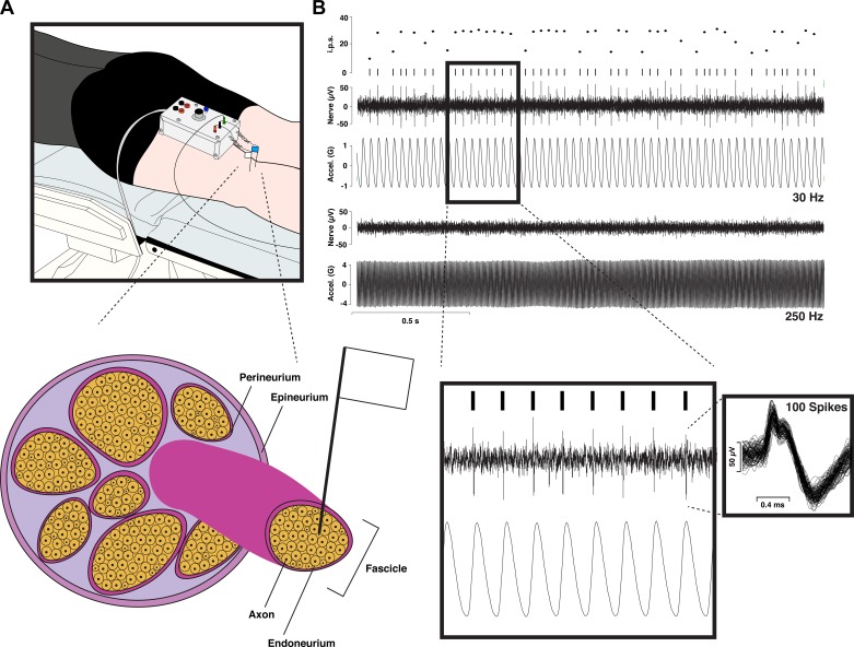 Fig. 1.