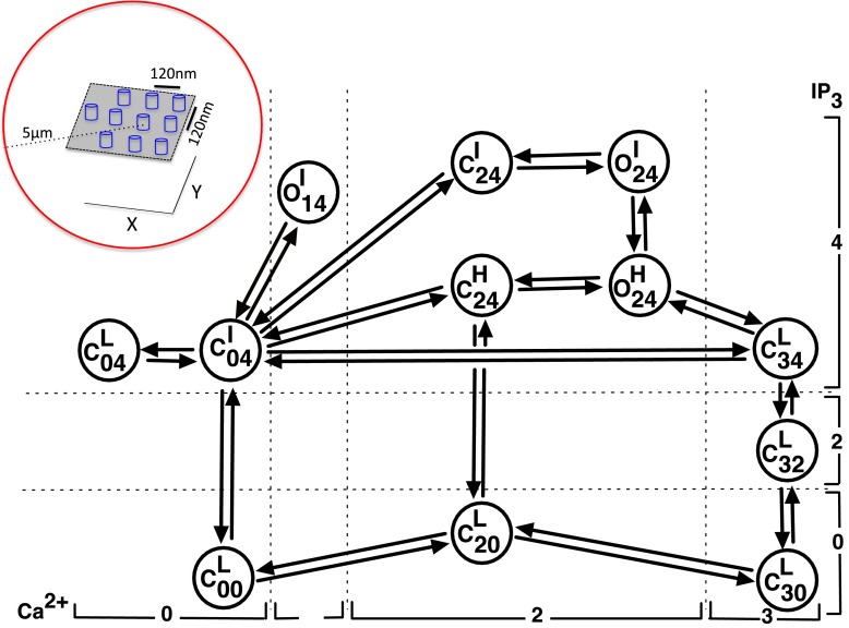 Fig. 1