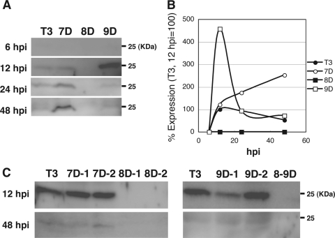 Fig 6