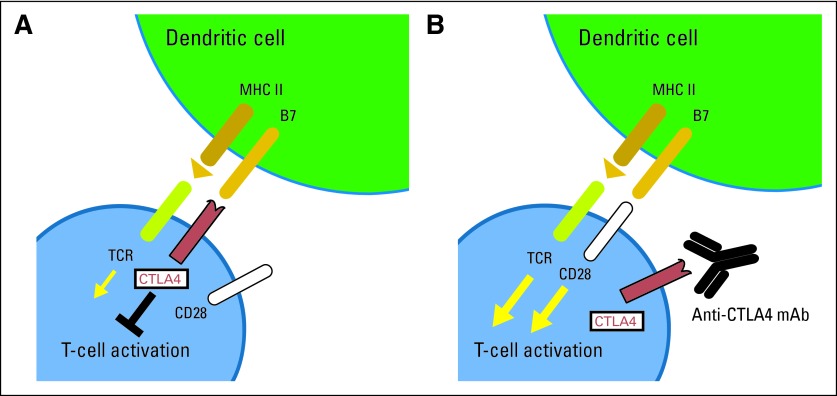 Fig 2.