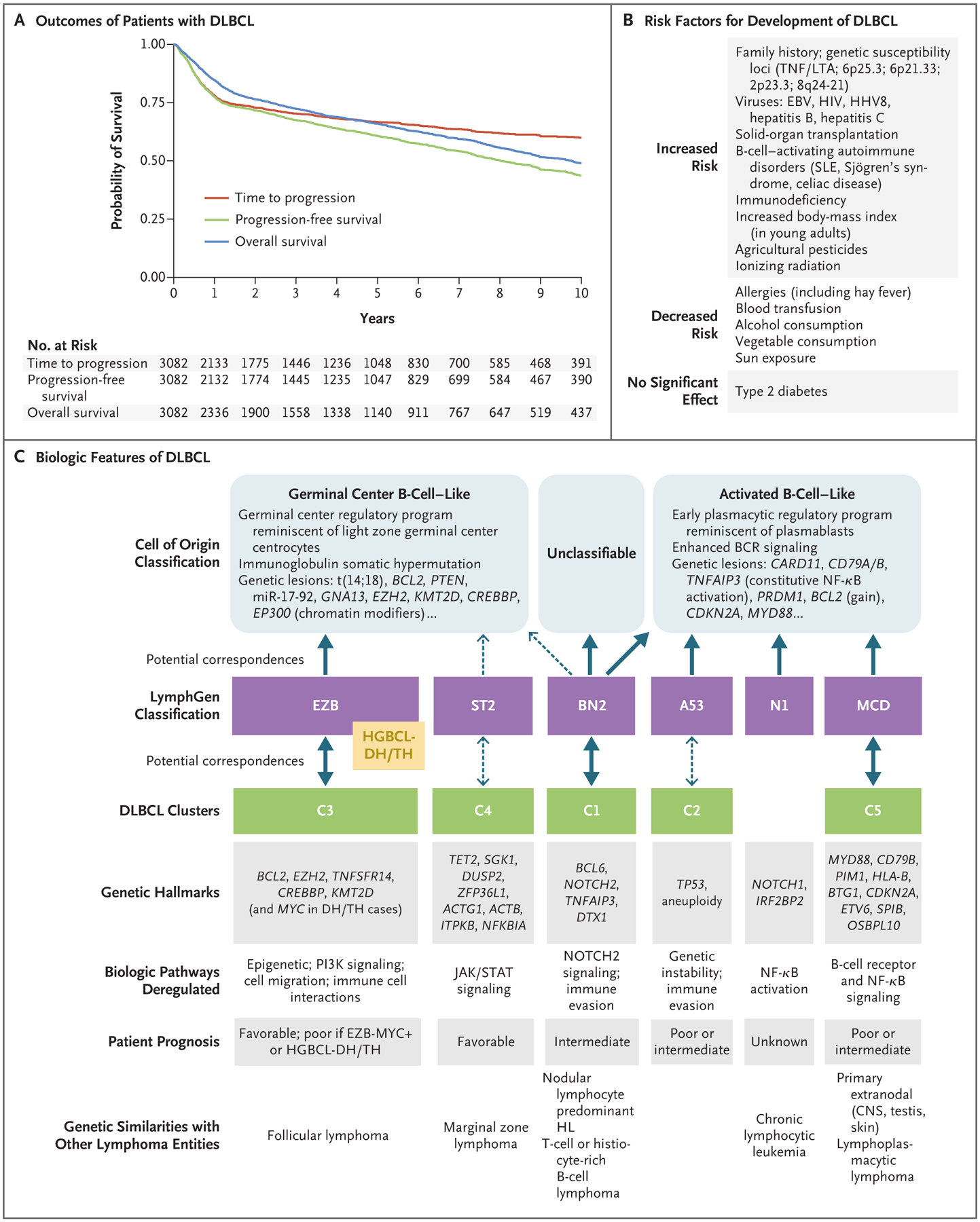 Figure 1 (facing page).