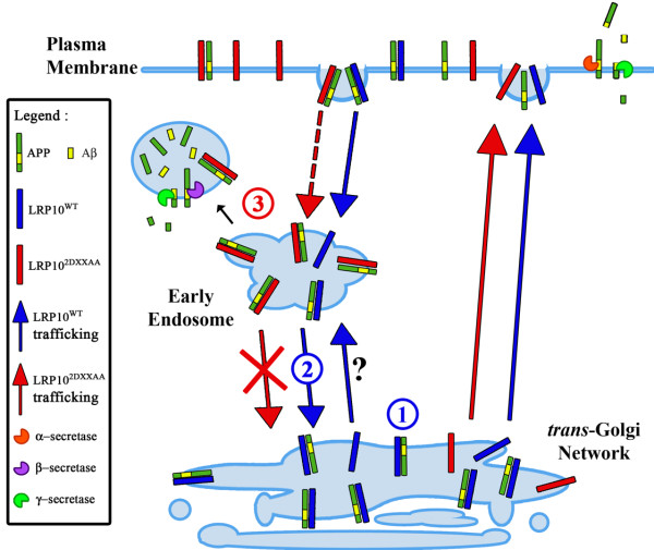 Figure 9 