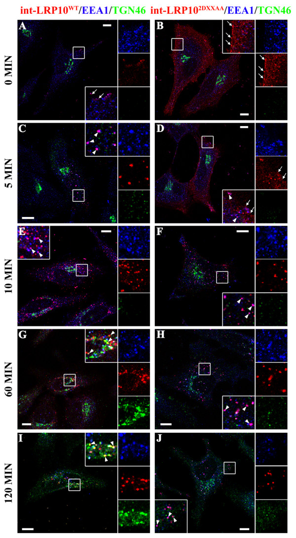 Figure 4 