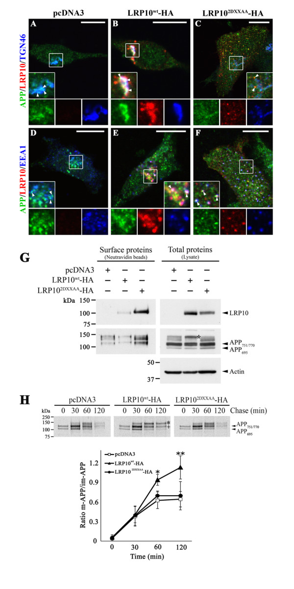 Figure 6 