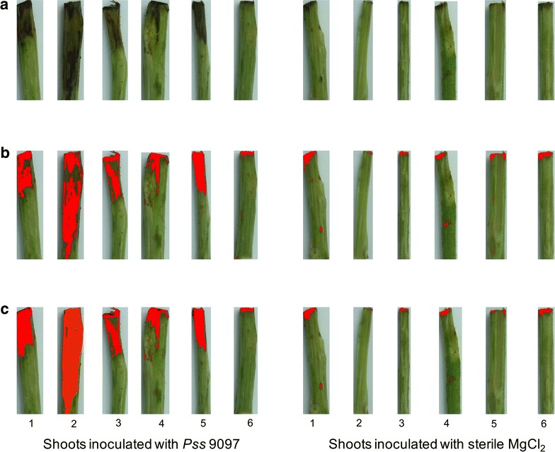 Fig. 1