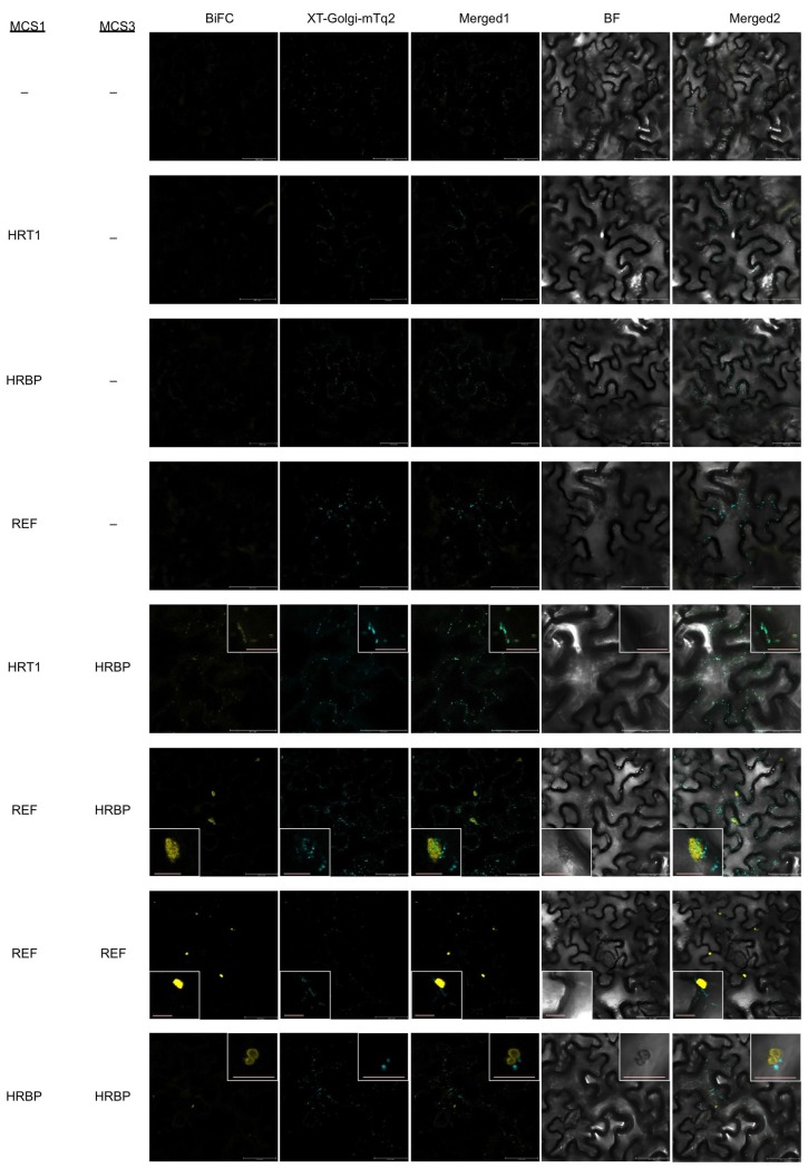 Figure 4—figure supplement 2.