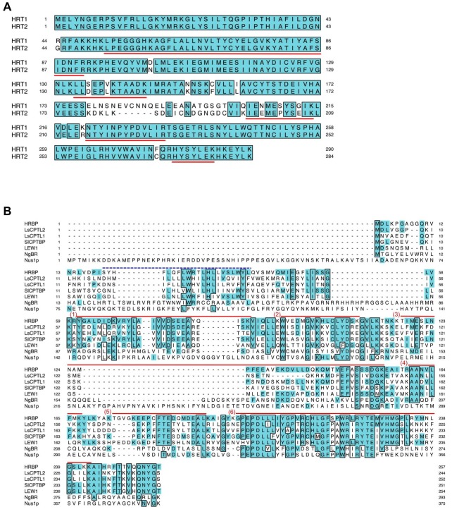 Figure 2—figure supplement 2.