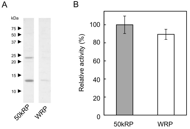 Figure 7—figure supplement 2.