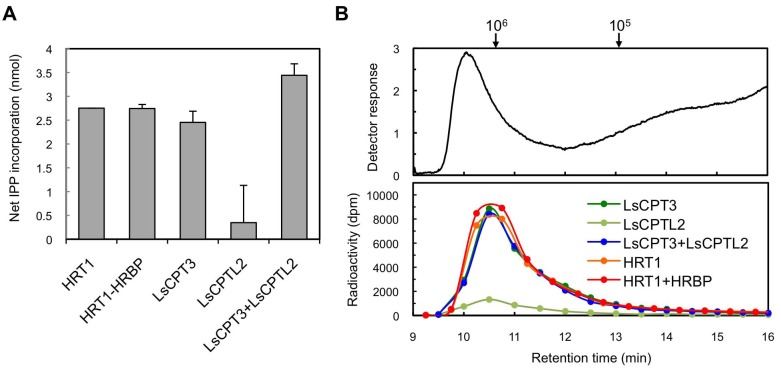 Figure 10.