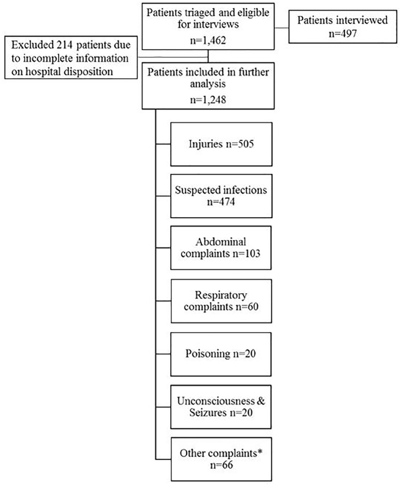 Figure 1B.