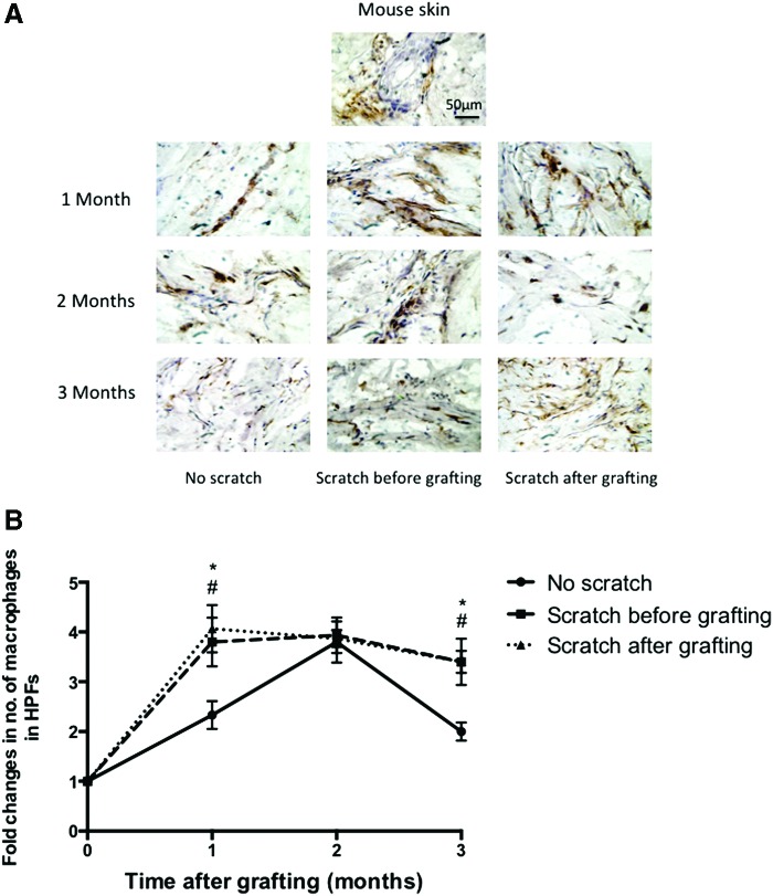 Figure 10.