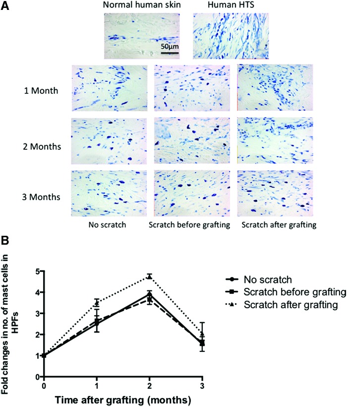 Figure 11.