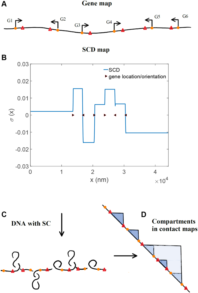 Figure 9.