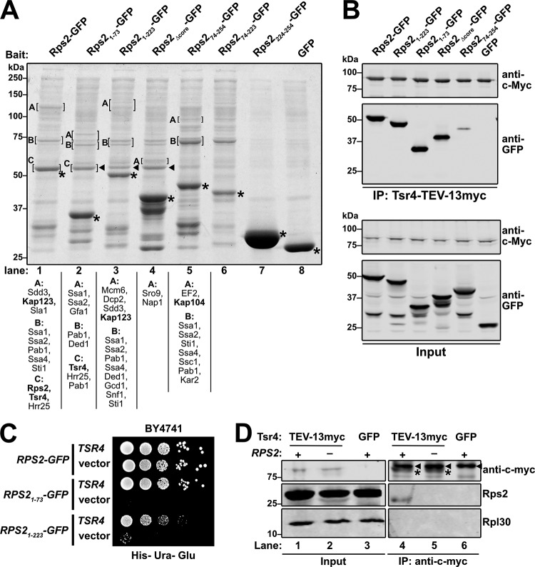 FIG 2