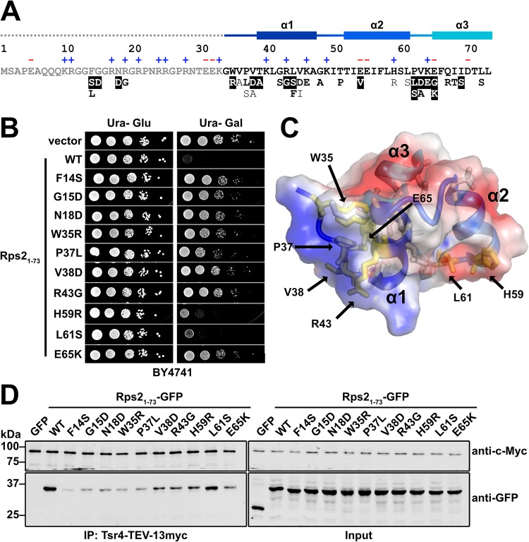 FIG 4