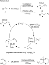 Scheme 8