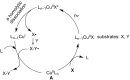 Scheme 6