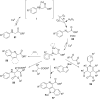 Scheme 27