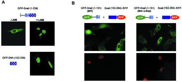 FIG. 10.