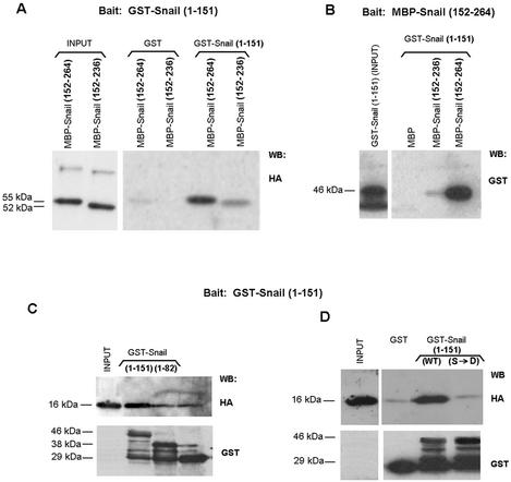 FIG. 11.