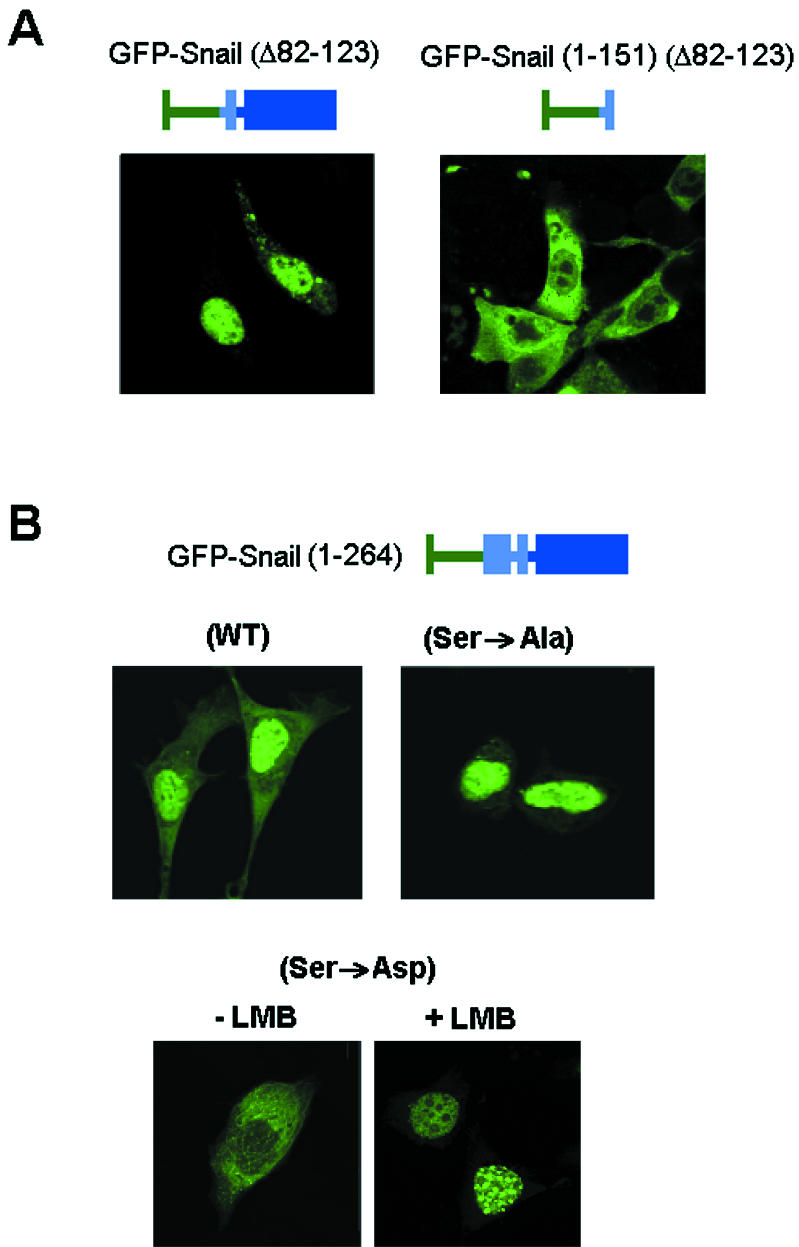 FIG. 7.