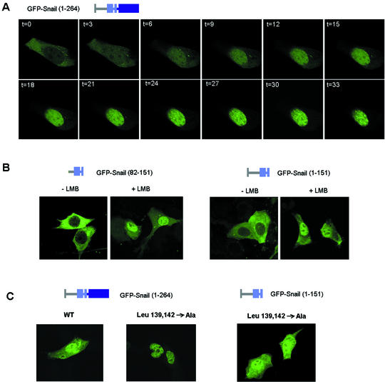 FIG. 6.