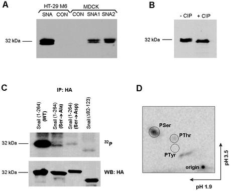 FIG. 8.