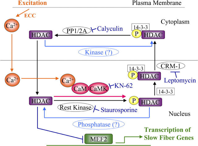 Figure 10.