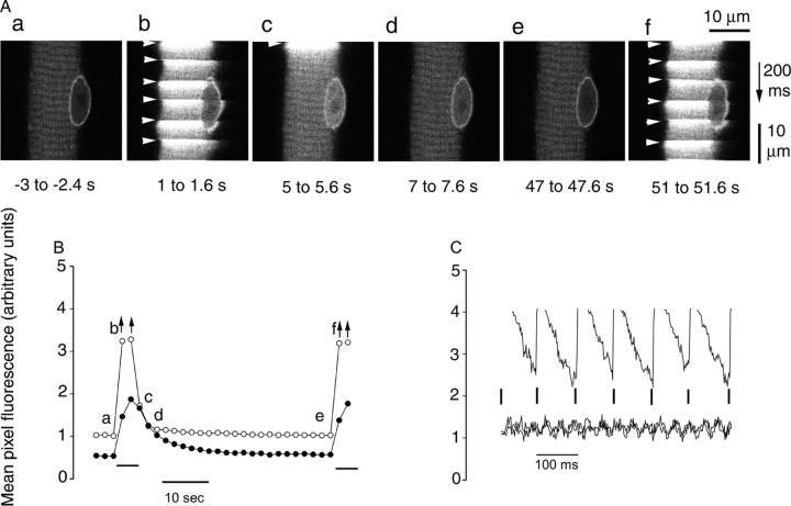 Figure 7.