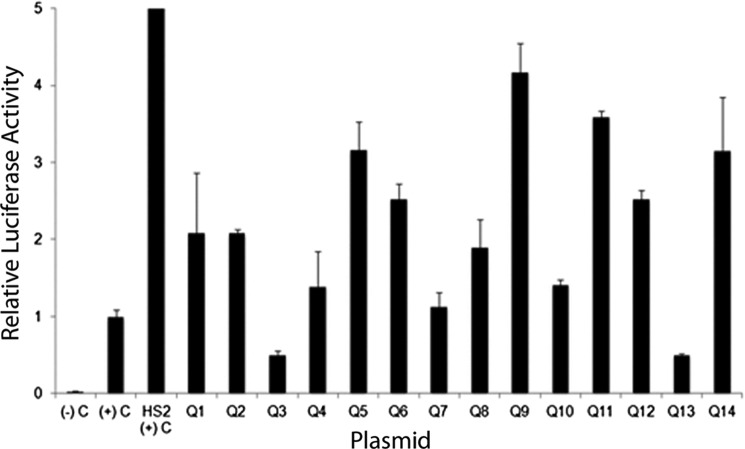 FIGURE 4.