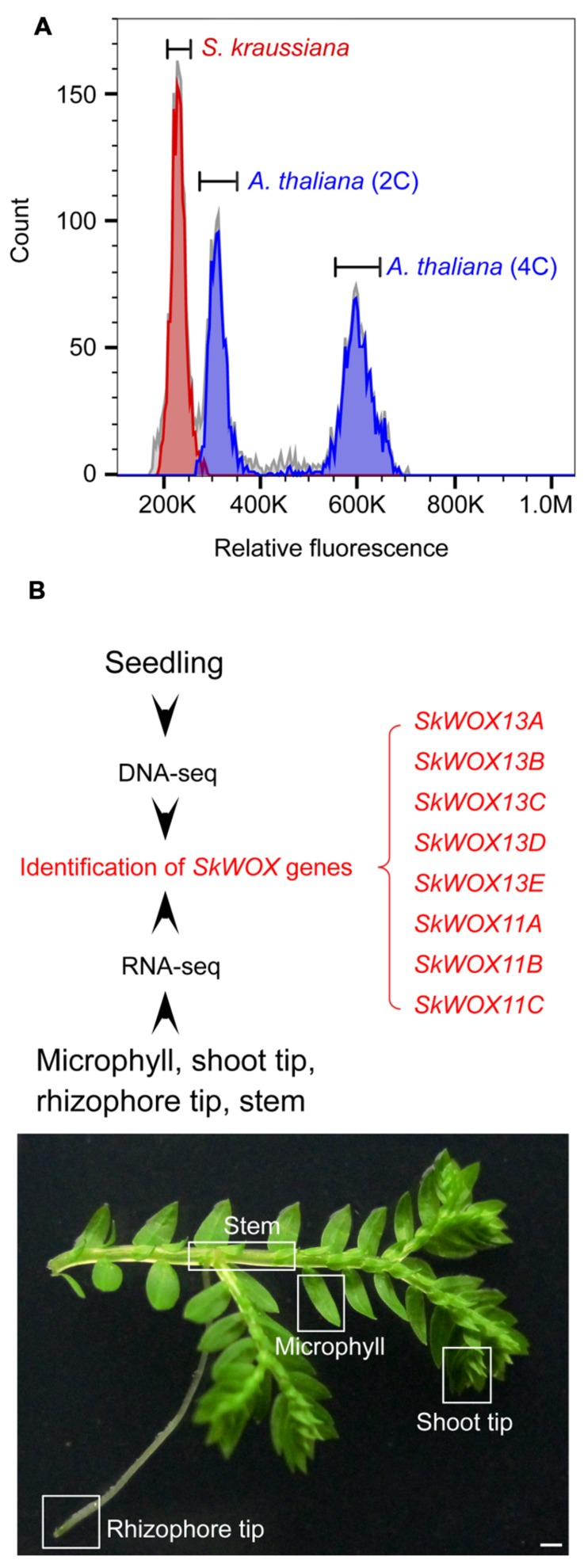 FIGURE 3