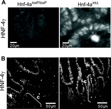 FIG. 8.