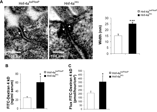 FIG. 11.