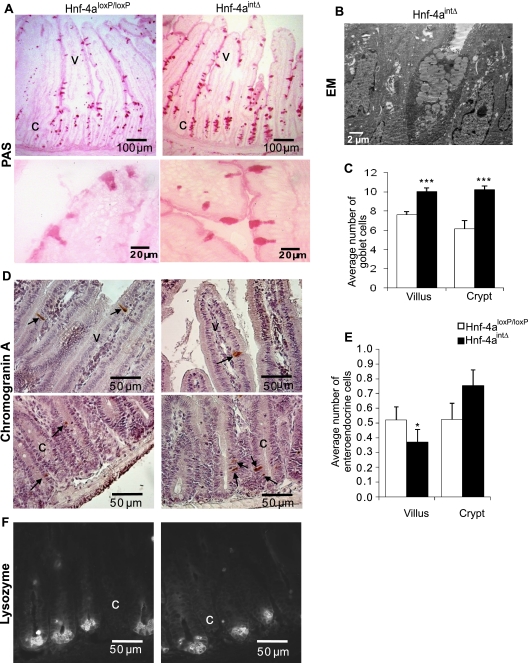 FIG. 7.