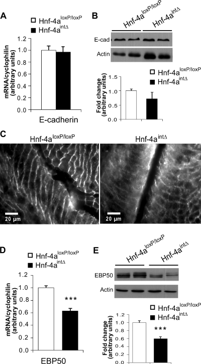 FIG. 9.