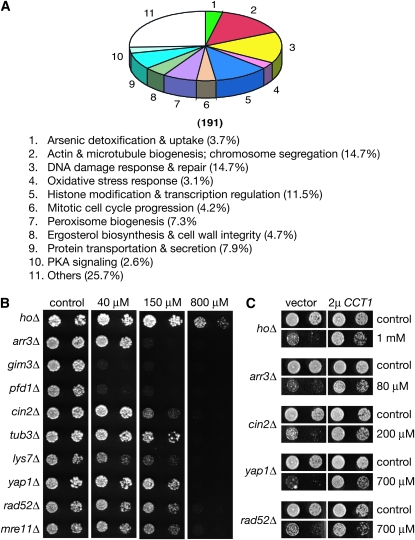 Figure 2.—