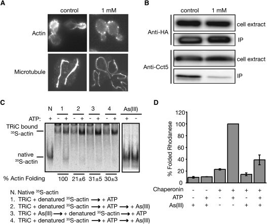 Figure 4.—