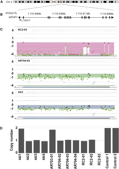 Figure 1