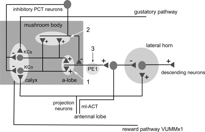 Figure 7.