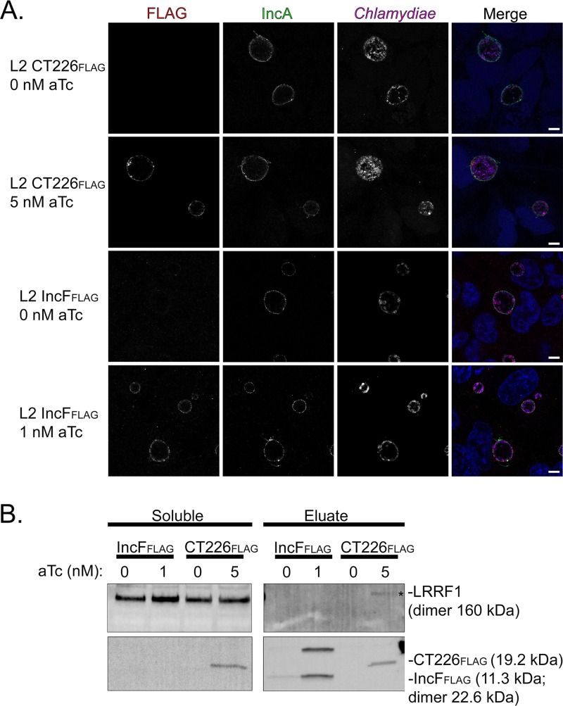 FIG 10