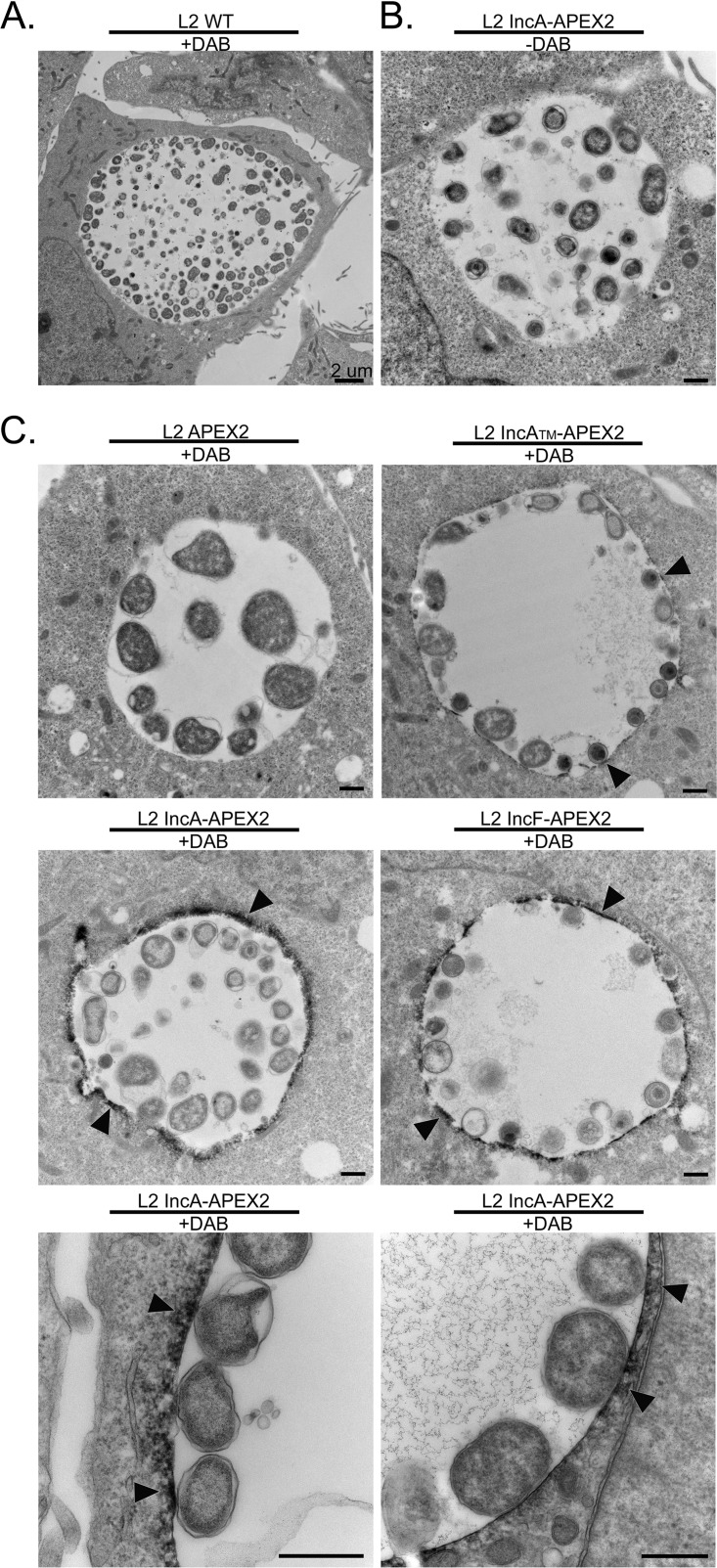 FIG 2