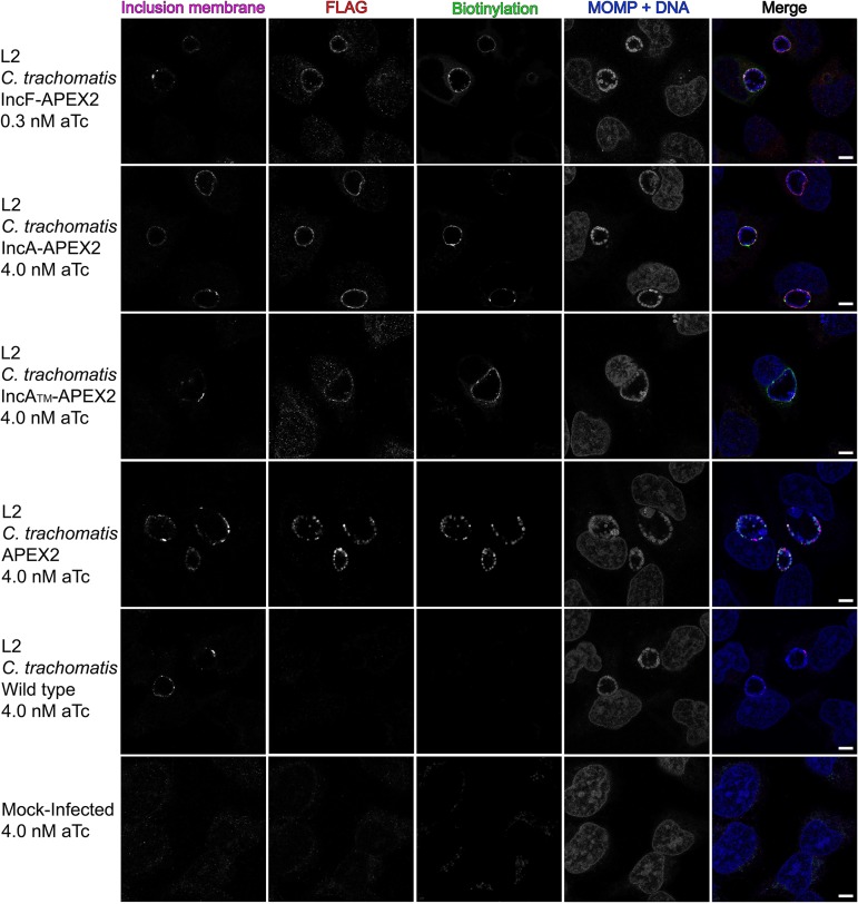 FIG 1