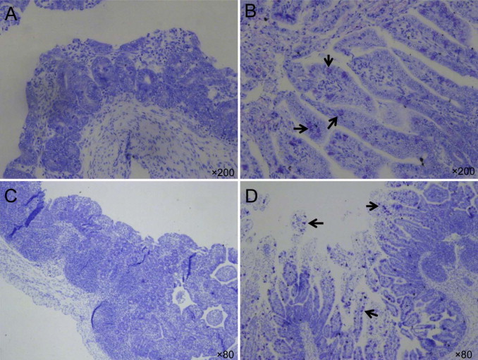 Fig. 2