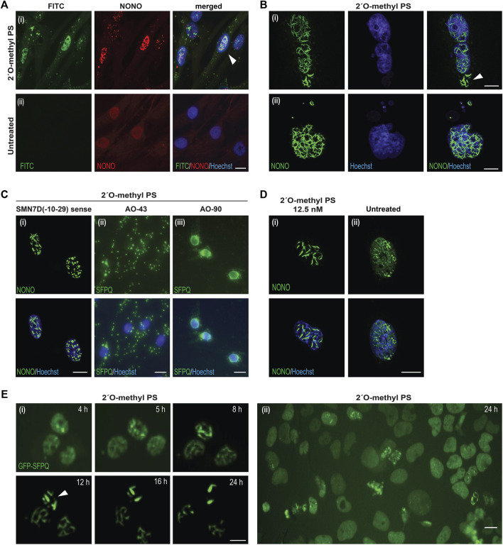 FIGURE 2