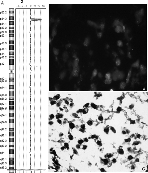 Fig. 4.