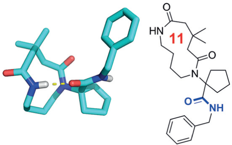 Figure 12