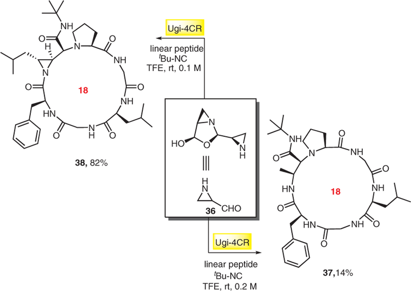 Scheme 7